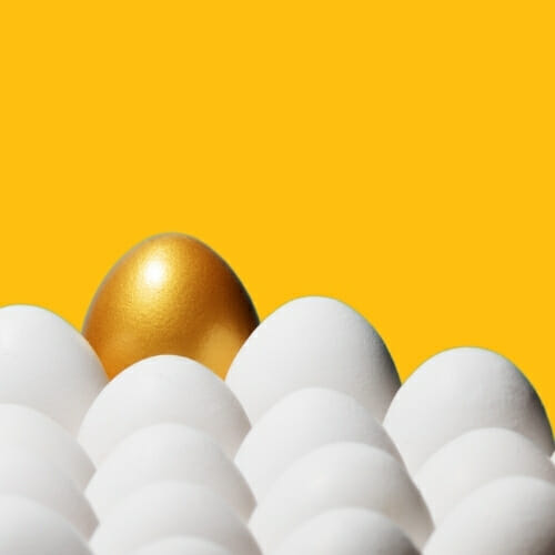 ביצת זהב אחת על רקע ביצים לבנות רגילות מדגיש את ייחודיות שבו ומסמלת בחירת יועץ כלכלי המתאים לעסק