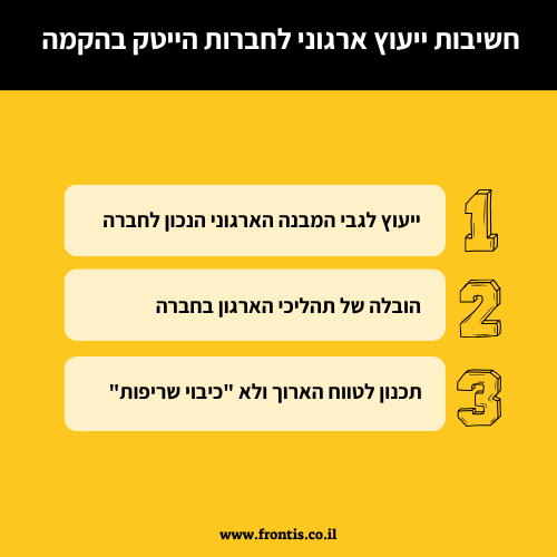 חשיבות ייעוץ ארגוני לחברות הייטק בהקמה - Frontis ייעוץ עסקי