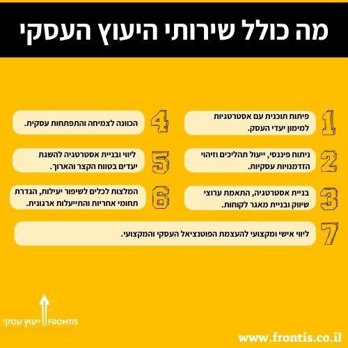 מה כולל שירותי היעוץ העסקי - FRONTIS